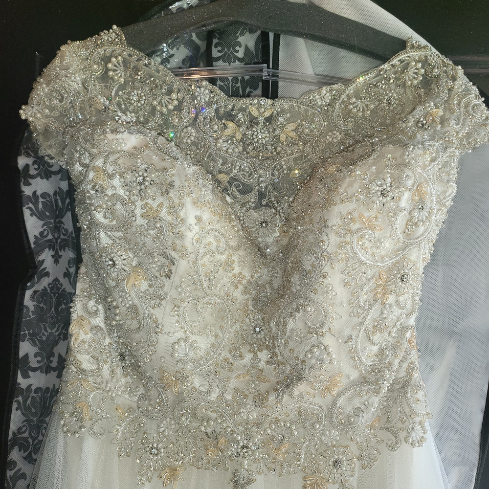 Elegant Silver and White Wedding Dress